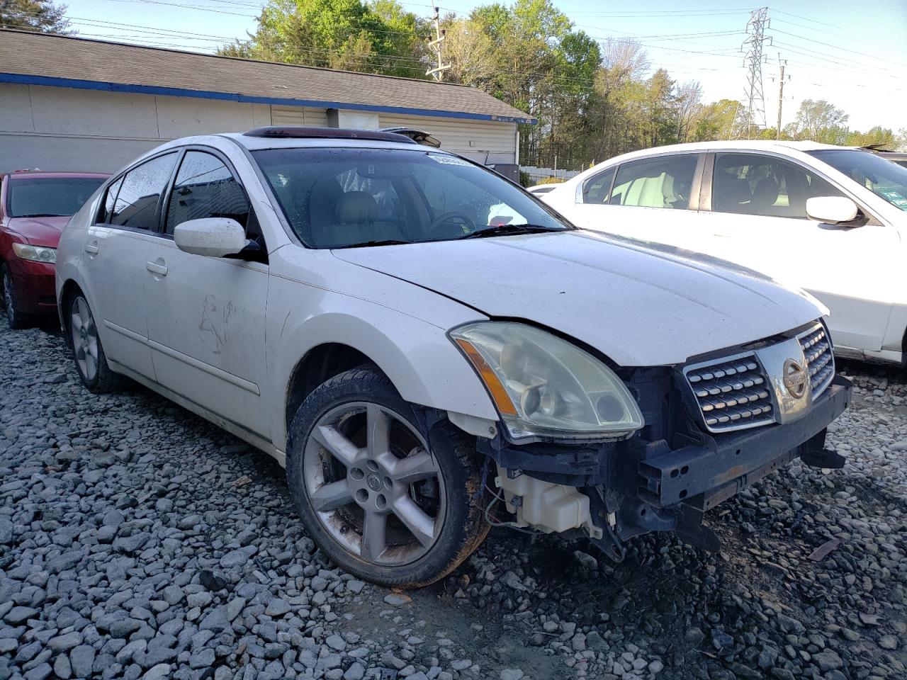 NISSAN MAXIMA SE 2005 with VIN 1N4BA41E55C856123 - Photo from auction
