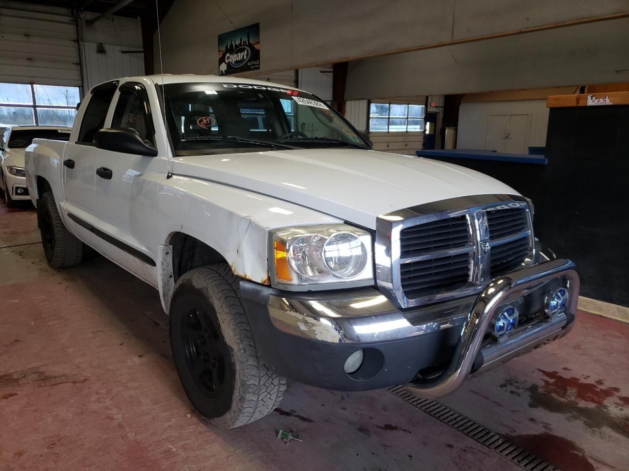 DODGE DAKOTA QUA 2005 with VIN 1D7HE48K85S165118 - Photo from auction