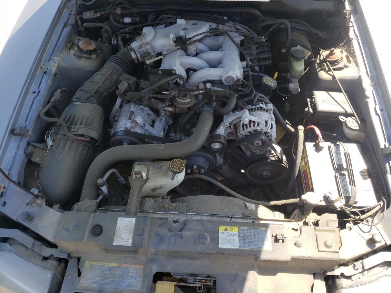 Photo 7 from auction – 2002 FORD MUSTANG with VIN 1FAFP44482F119401