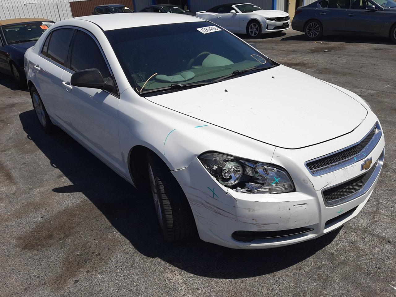 CHEVROLET MALIBU LS 2010 with VIN 1G1ZB5EB8AF251719 - Photo from auction