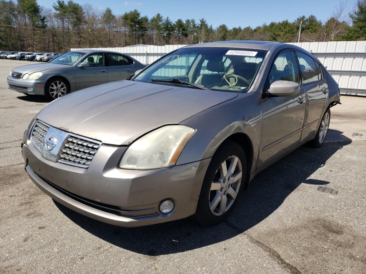Foto 2 de la subasta – 2006 NISSAN MAXIMA SE con VIN 1N4BA41E46C819632