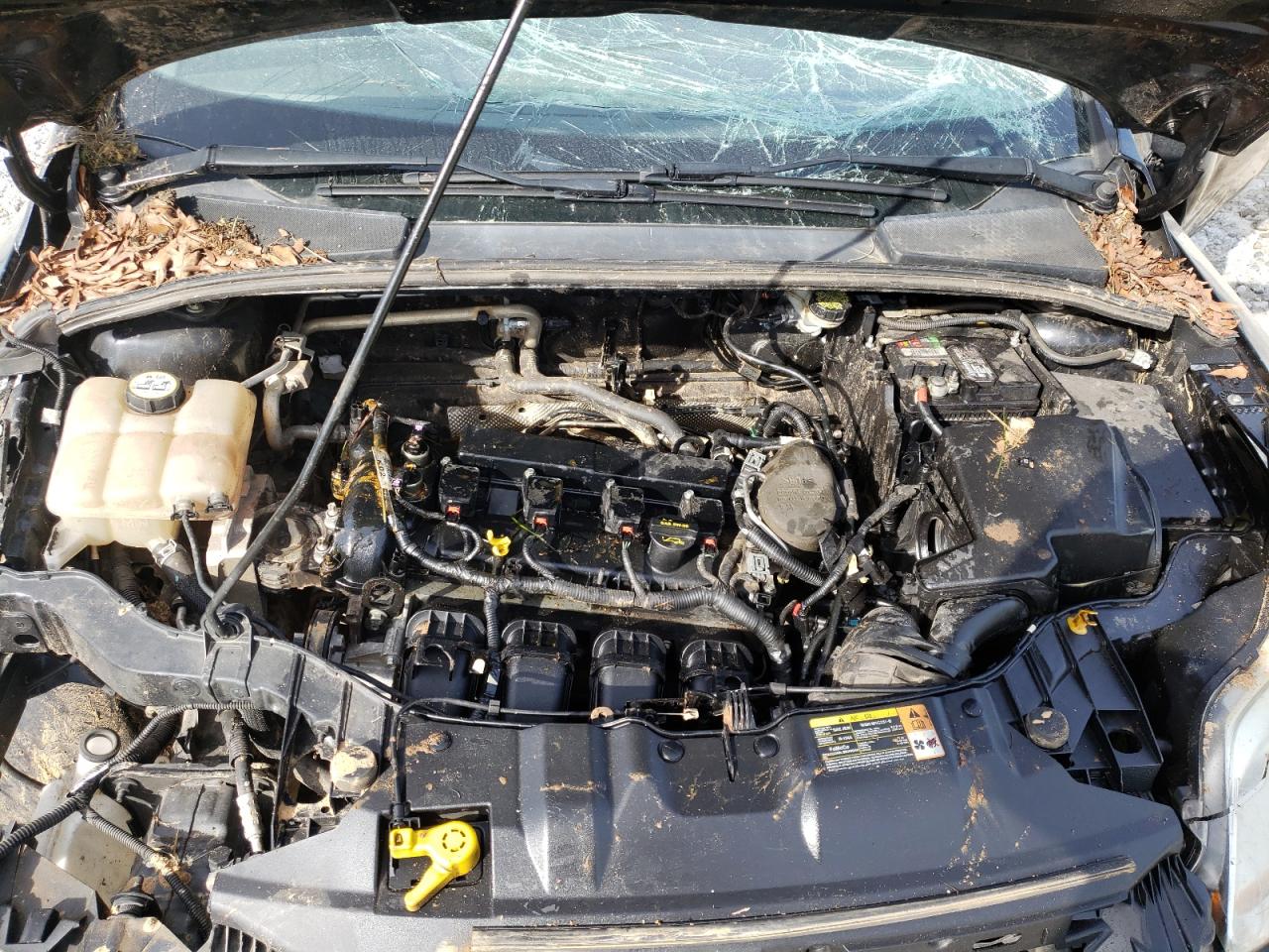 Photo 7 from auction – 2013 FORD FOCUS SE with VIN 1FADP3K25DL259011