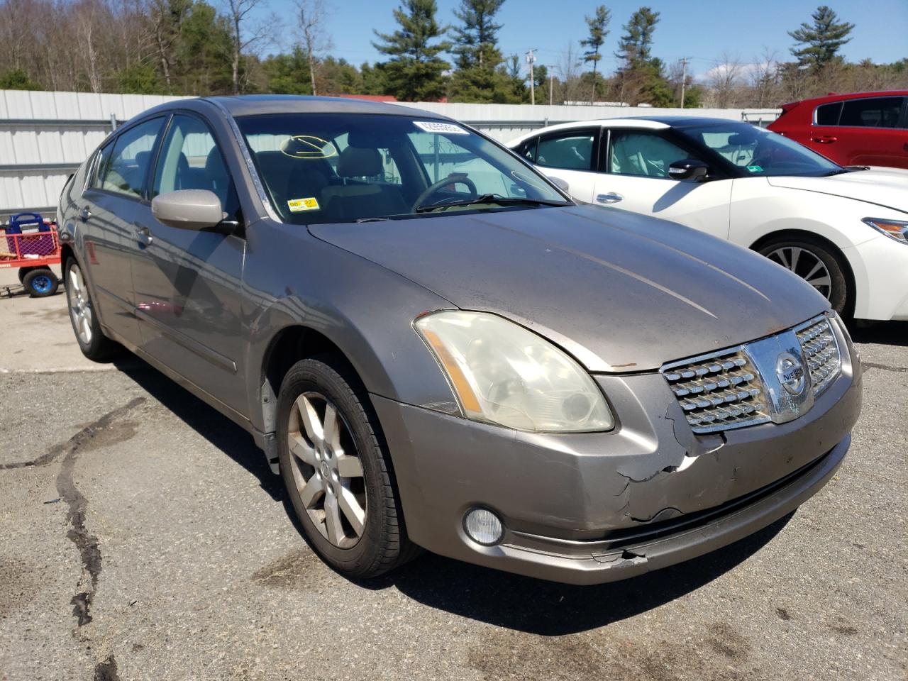 NISSAN MAXIMA SE 2006 with VIN 1N4BA41E46C819632 - Photo from auction