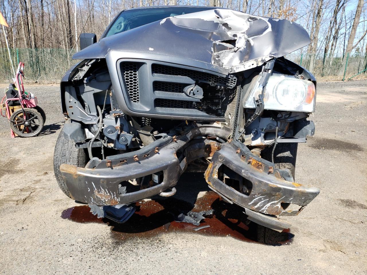 Photo 9 from auction – 2004 FORD F150 with VIN 1FTRX14WX4FA10805