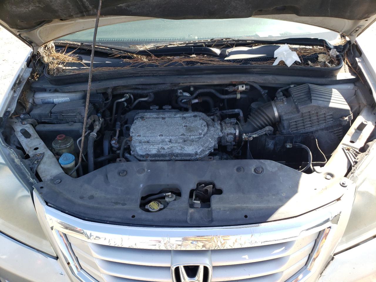 Photo 7 from auction – 2009 HONDA ODYSSEY EX with VIN 5FNRL38769B050417