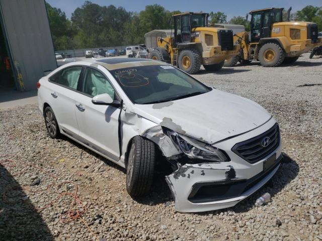 HYUNDAI SONATA SPO 2017 with VIN 5NPE34AF7HH455014 - Photo from auction