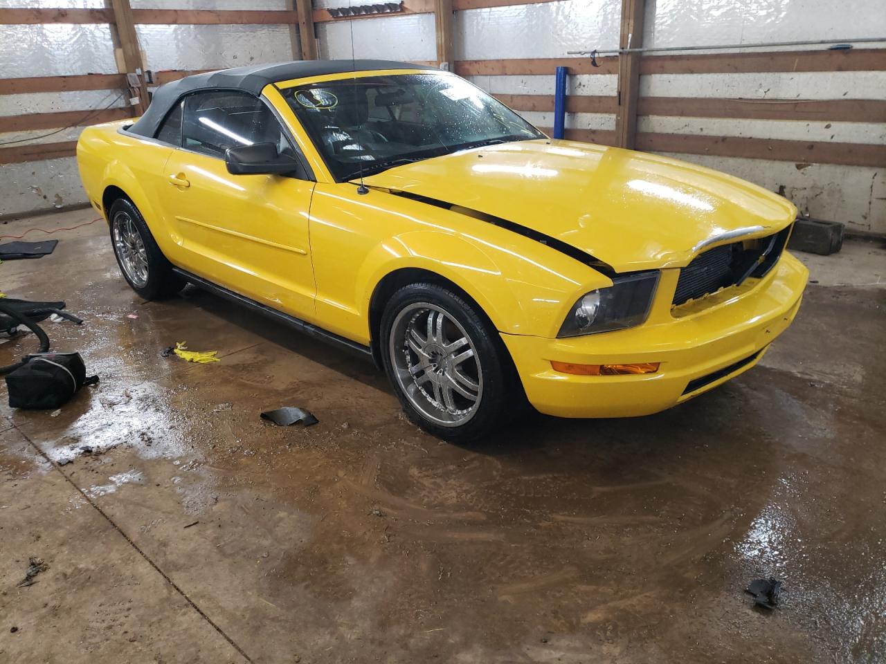 Photo 1 from auction – 2005 FORD MUSTANG with VIN 1ZVFT84N655207294