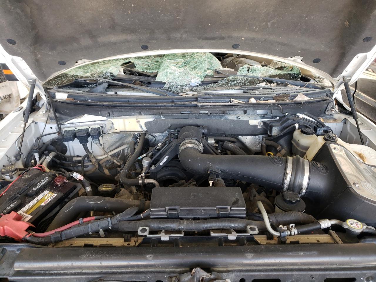 Photo 7 from auction – 2010 FORD F150 SUPER with VIN 1FTFW1EV1AFC95448