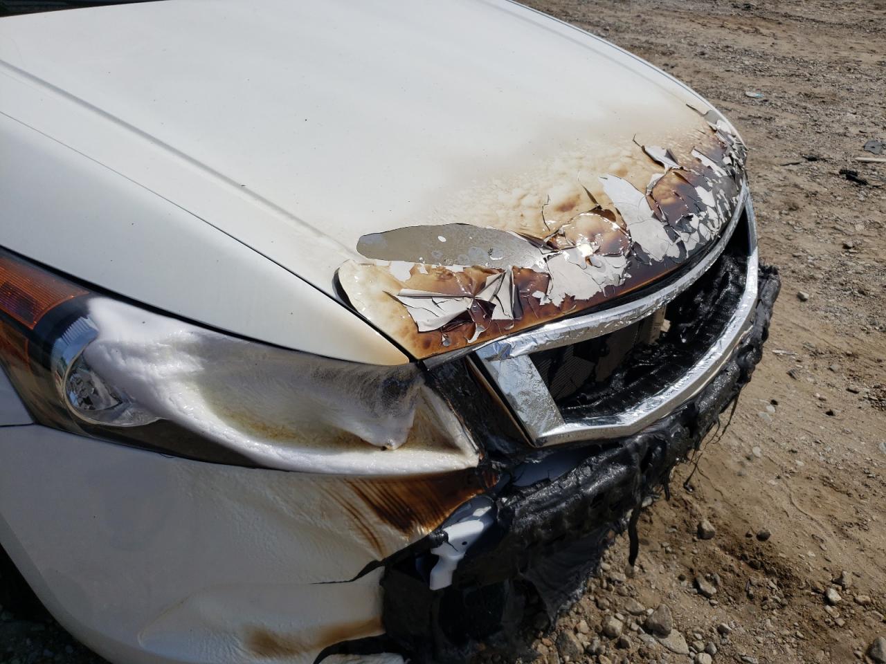 Photo 9 from auction – 2010 HONDA ACCORD LXP with VIN 1HGCP2F43AA145402