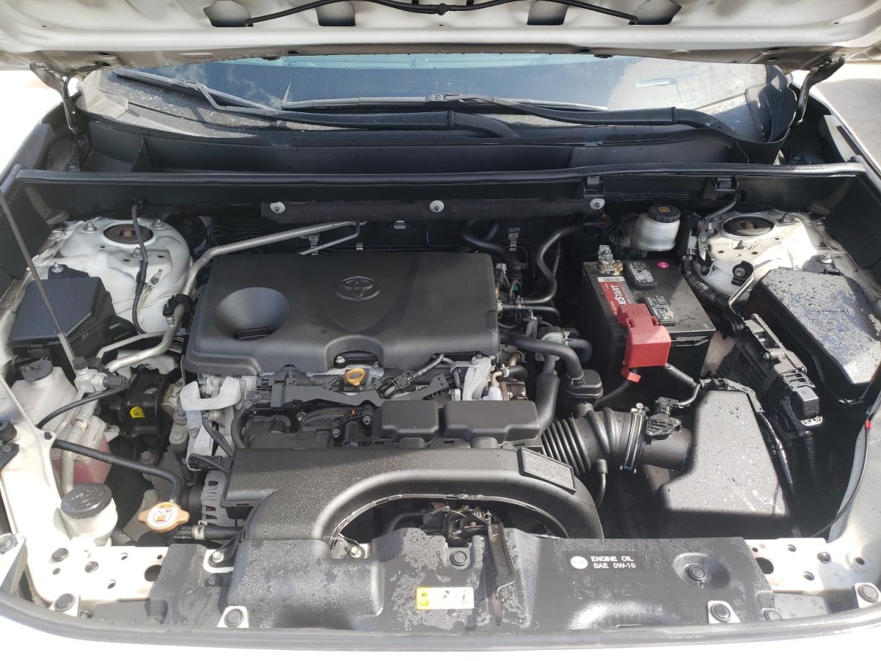 Photo 7 from auction – 2019 TOYOTA RAV4 XLE with VIN 2T3W1RFV3KC016482
