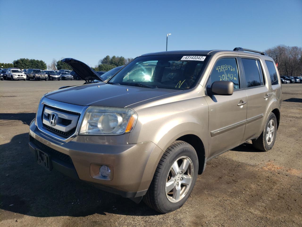 Photo 2 from auction – 2009 HONDA PILOT EXL with VIN 5FNYF48569B039523