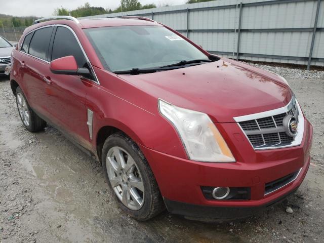 CADILLAC SRX PERFOR 2010 with VIN 3GYFNBEY0AS531290 - Photo from auction