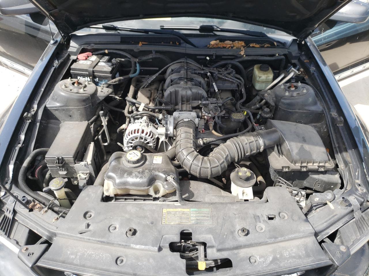 Photo 7 from auction – 2006 FORD MUSTANG with VIN 1ZVFT80N065139324