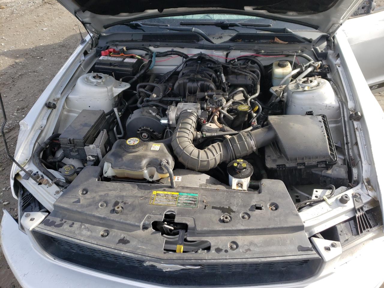 Photo 7 from auction – 2005 FORD MUSTANG with VIN 1ZVFT80N655115351