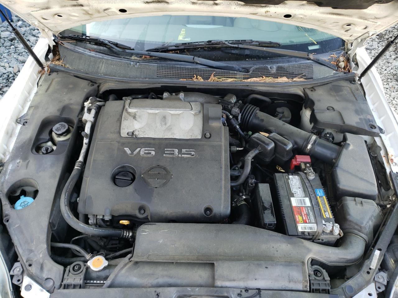 Photo 7 from auction – 2005 NISSAN MAXIMA SE with VIN 1N4BA41E55C856123