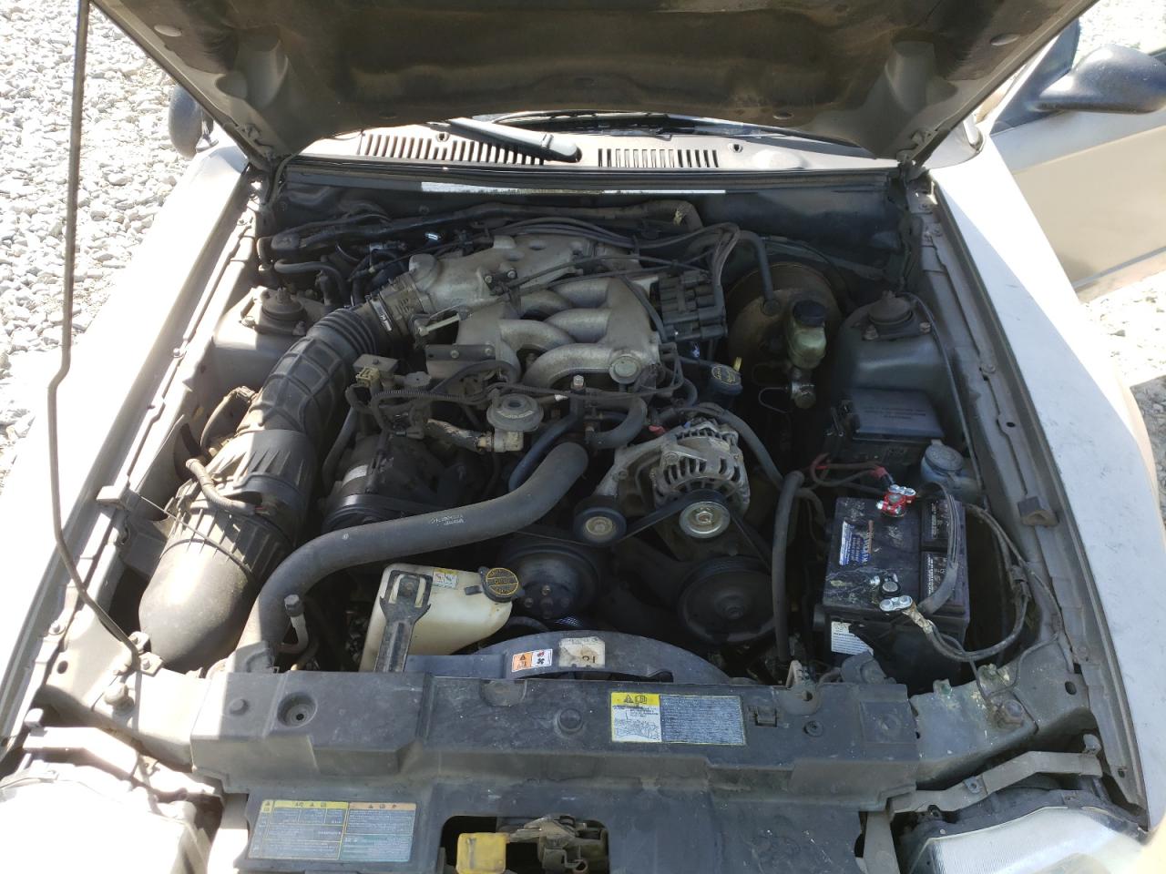 Photo 7 from auction – 2001 FORD MUSTANG with VIN 1FAFP40411F180948