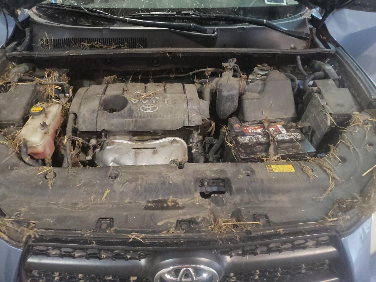 Photo 7 from auction – 2009 TOYOTA RAV4 with VIN JTMBF33V79D016430