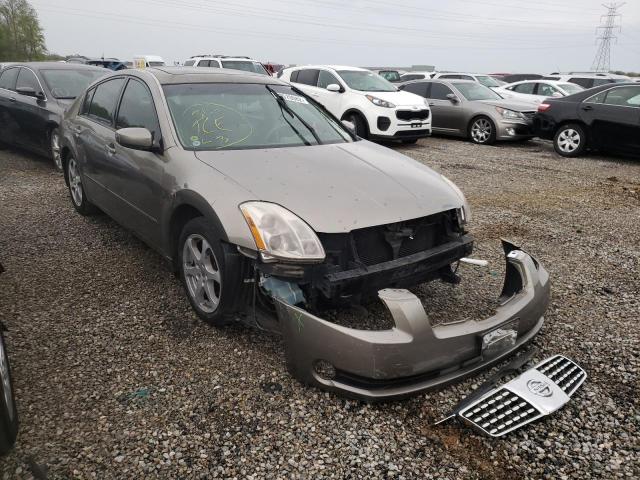 NISSAN MAXIMA SE 2006 with VIN 1N4BA41E66C811046 - Photo from auction