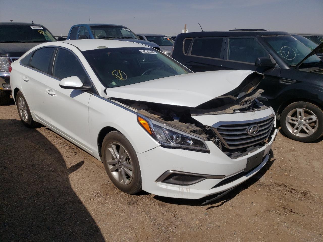 HYUNDAI SONATA SE 2016 with VIN 5NPE24AF5GH346262 - Photo from auction