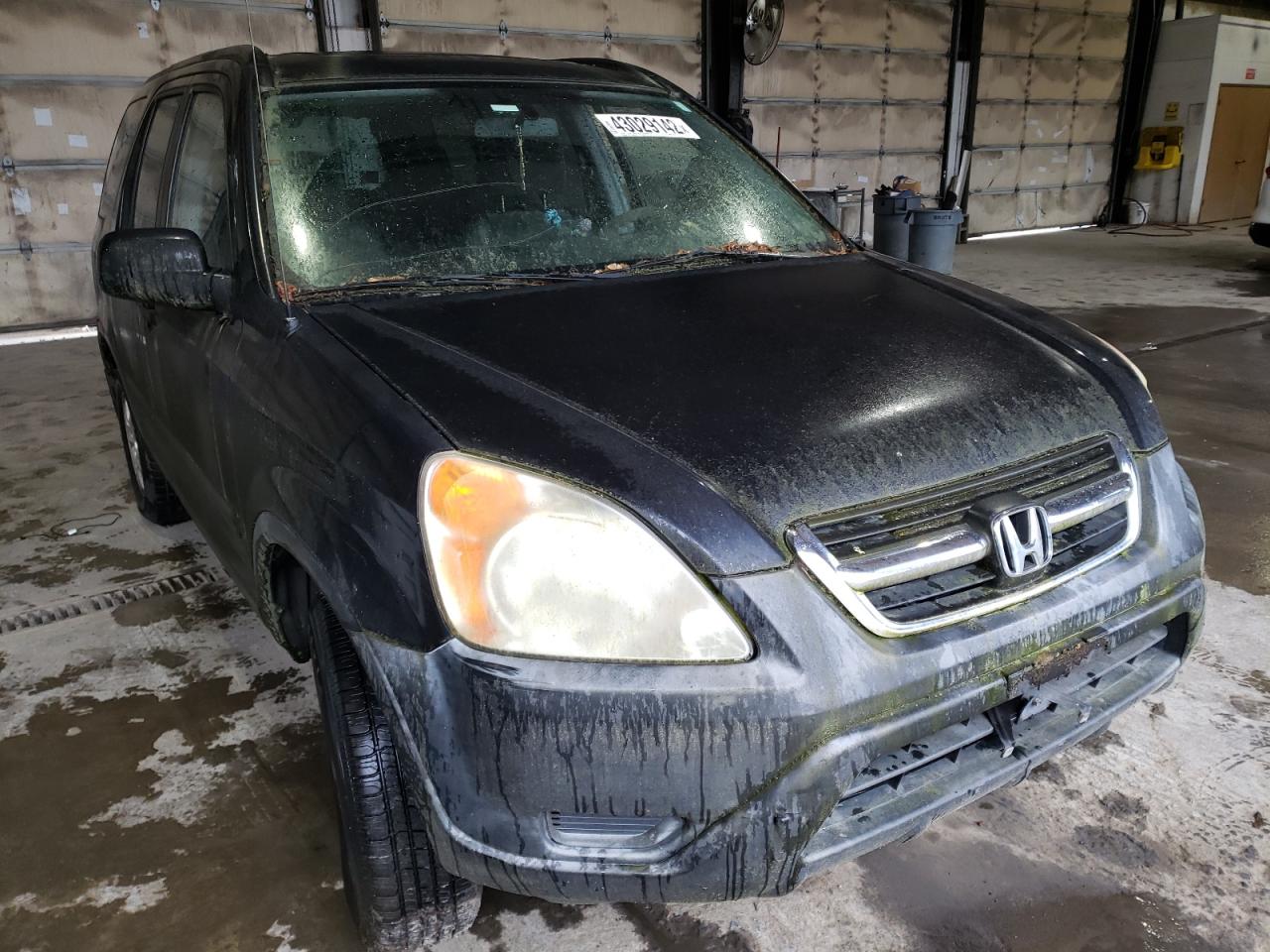 HONDA CR-V EX 2004 with VIN JHLRD78854C001778 - Photo from auction