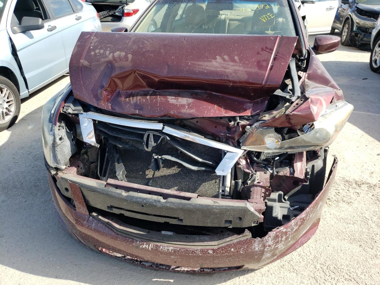 Photo 9 from auction – 2010 HONDA ACCORD EXL with VIN 1HGCP2F82AA135155