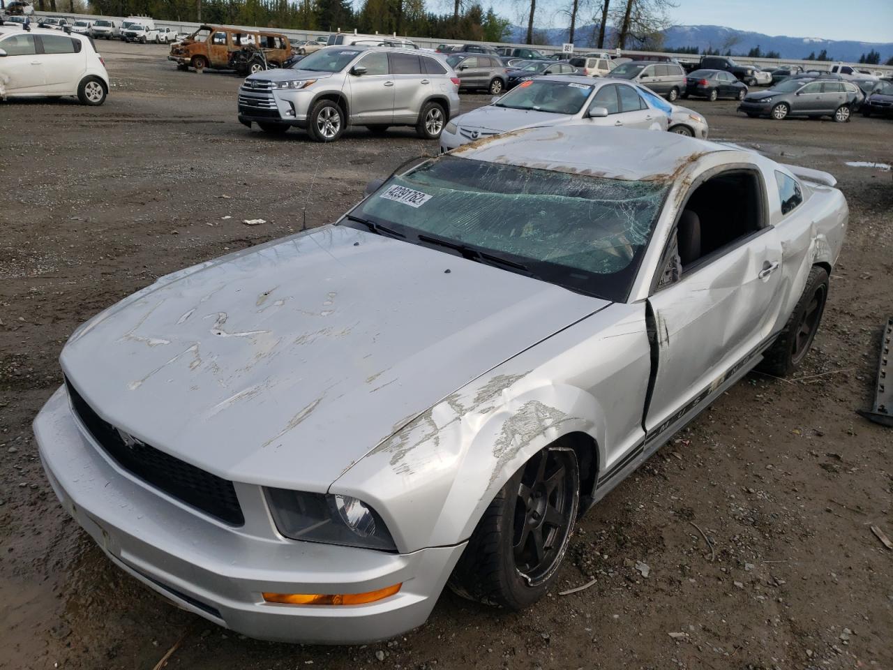 Photo 9 from auction – 2005 FORD MUSTANG with VIN 1ZVFT80N655115351