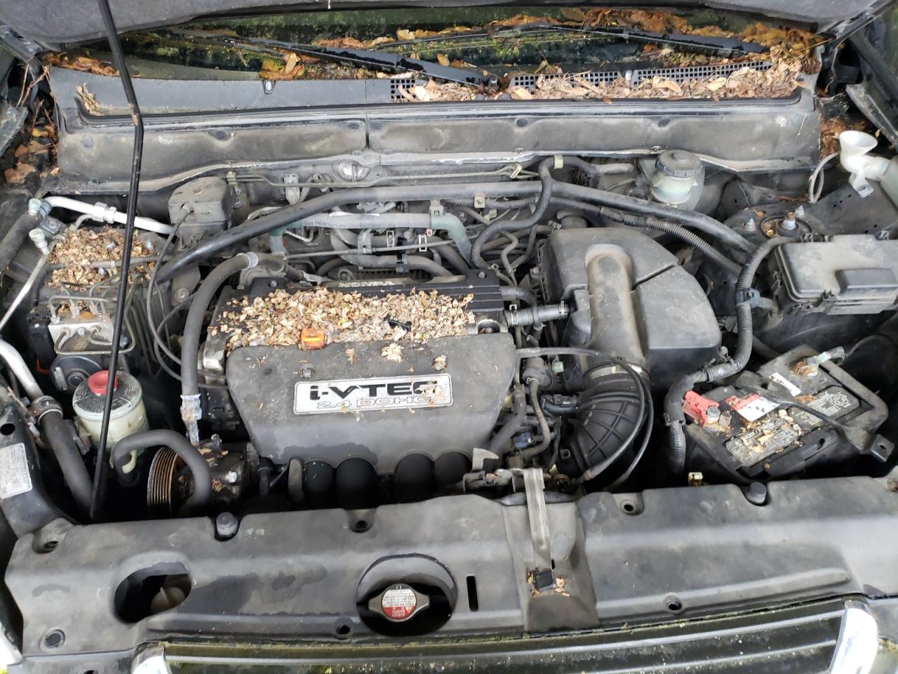 Photo 7 from auction – 2004 HONDA CR-V EX with VIN JHLRD78854C001778