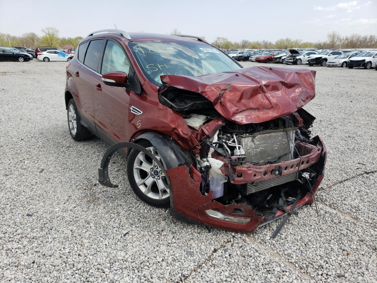 FORD ESCAPE TIT 2014 with VIN 1FMCU0JXXEUB78975 - Photo from auction