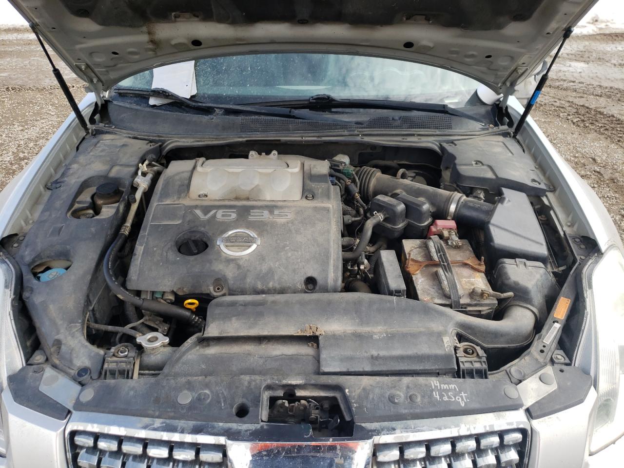 Photo 7 from auction – 2004 NISSAN MAXIMA SE with VIN 1N4BA41E44C824956
