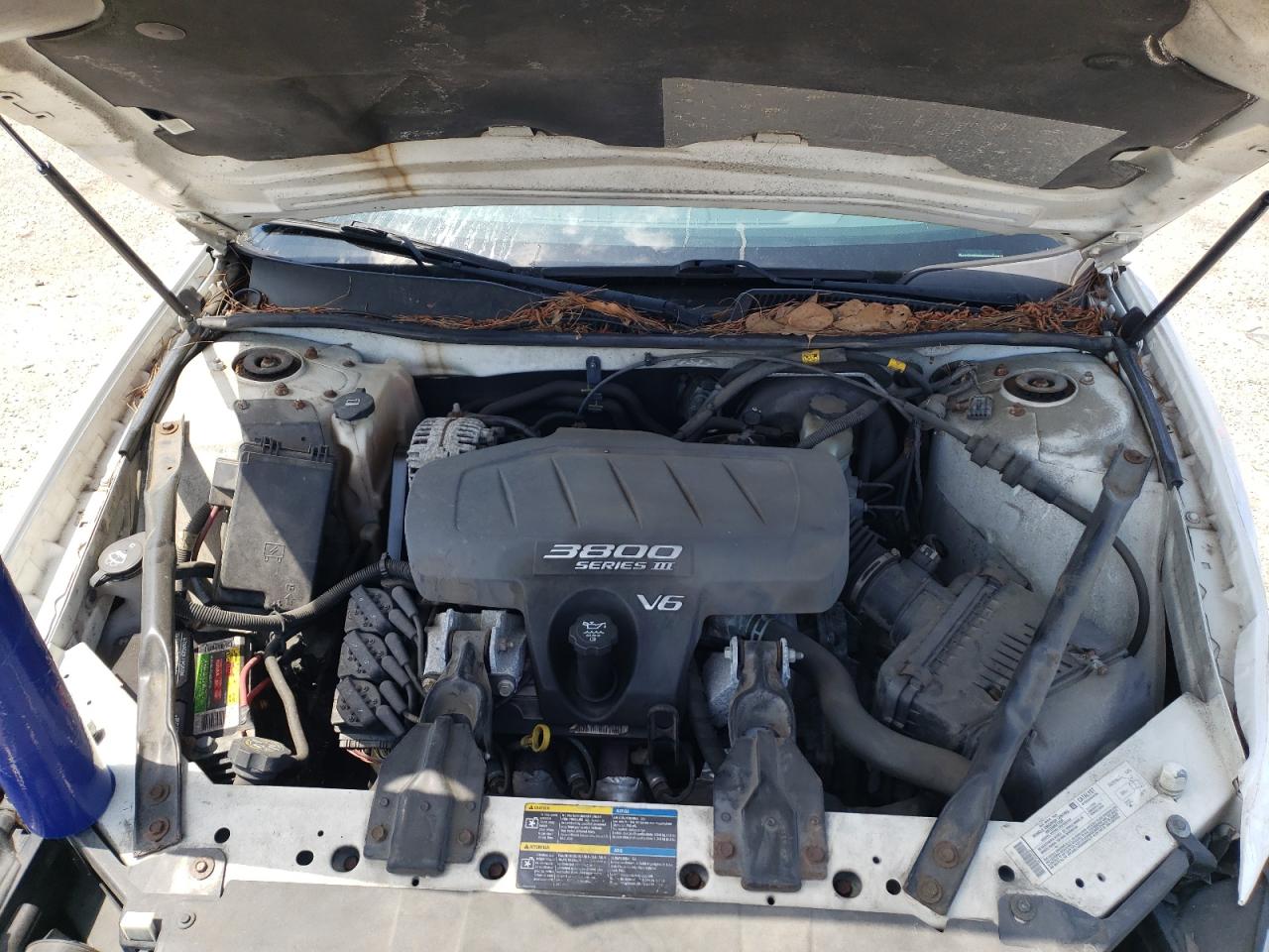 Photo 7 from auction – 2005 BUICK LACROSSE C with VIN 2G4WD532351240546