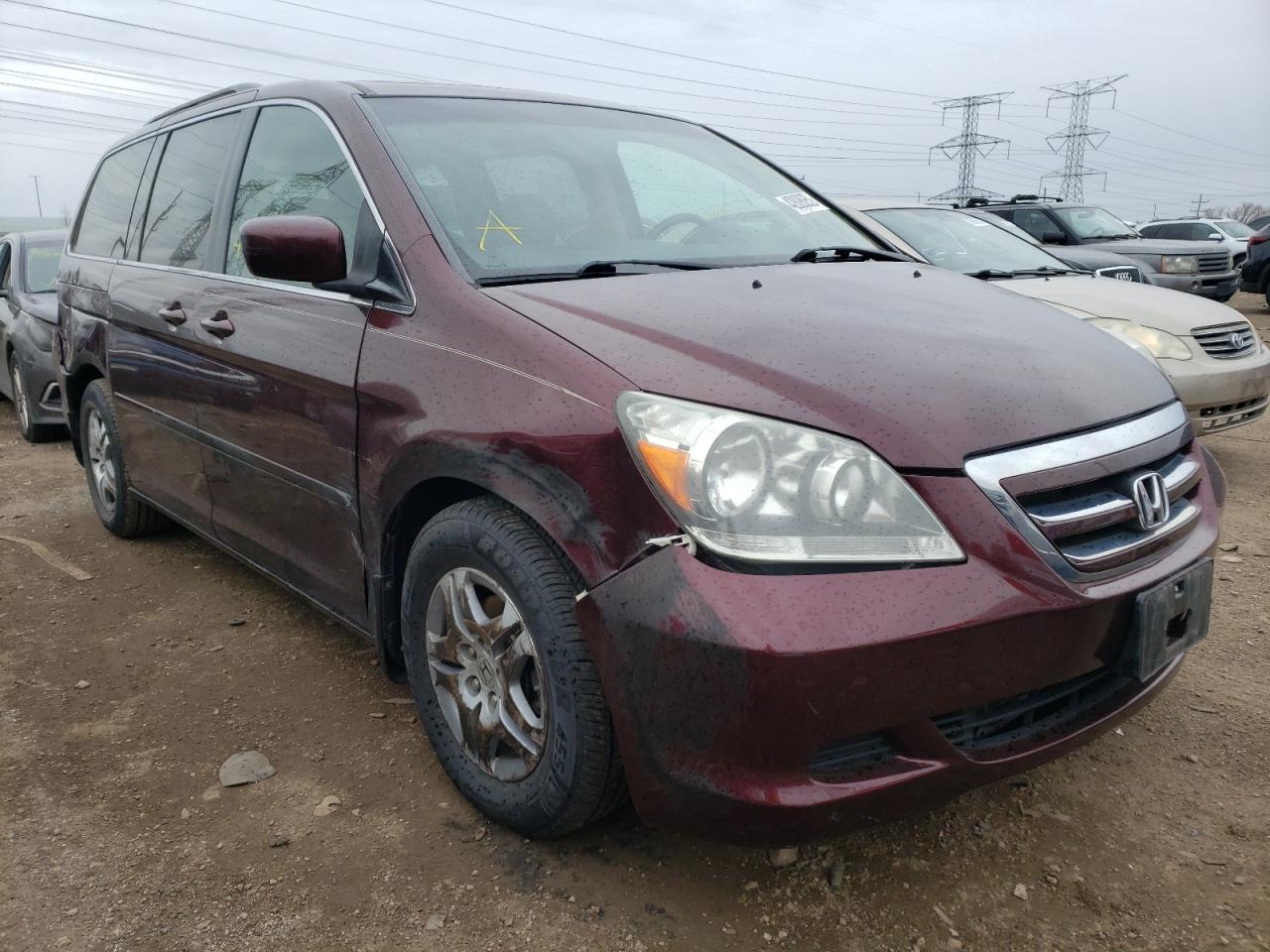 HONDA ODYSSEY EX 2007 with VIN 5FNRL38637B407864 - Photo from auction