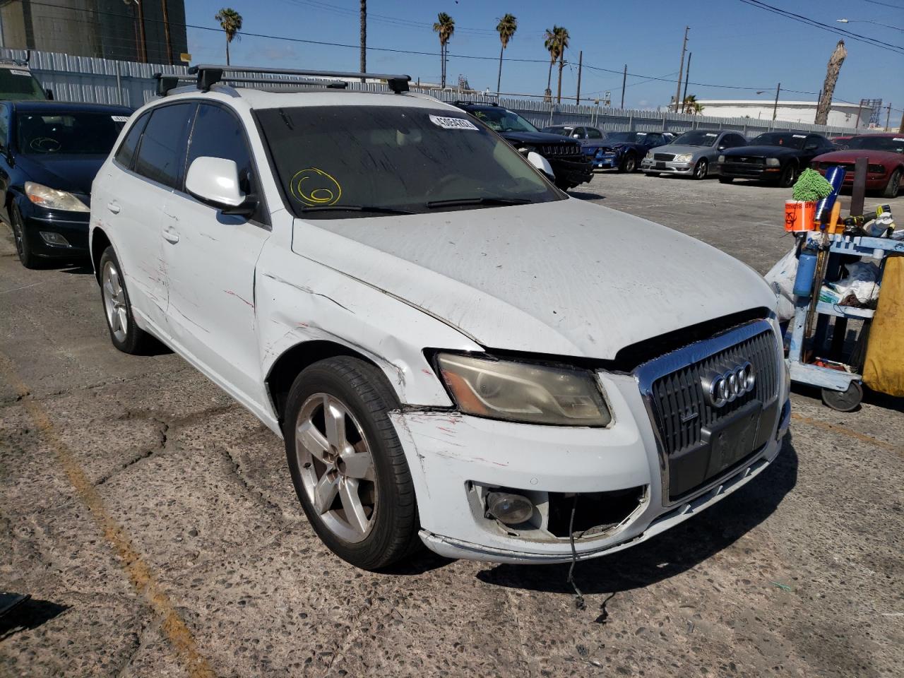 AUDI Q5 PREMIUM 2012 with VIN WA1LFAFP3CA117537 - Photo from auction