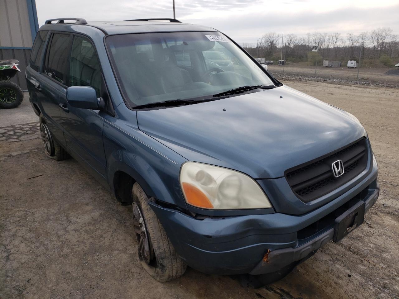 HONDA PILOT EXL 2005 with VIN 2HKYF18595H507559 - Photo from auction
