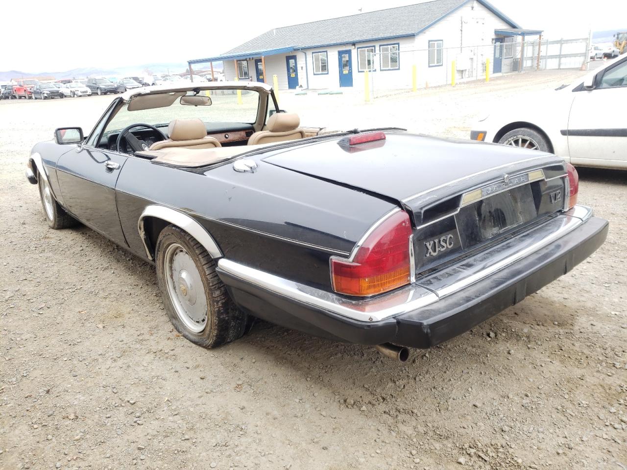 Photo 3 from auction – 1988 JAGUAR XJS with VIN SAJNV5845JC144575