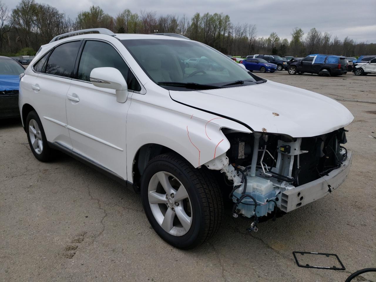 LEXUS RX 350 BAS 2013 with VIN 2T2BK1BA5DC173230 - Photo from auction