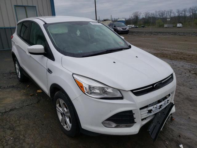 Photo 1 from auction – 2014 FORD ESCAPE SE with VIN 1FMCU9GX6EUC02880