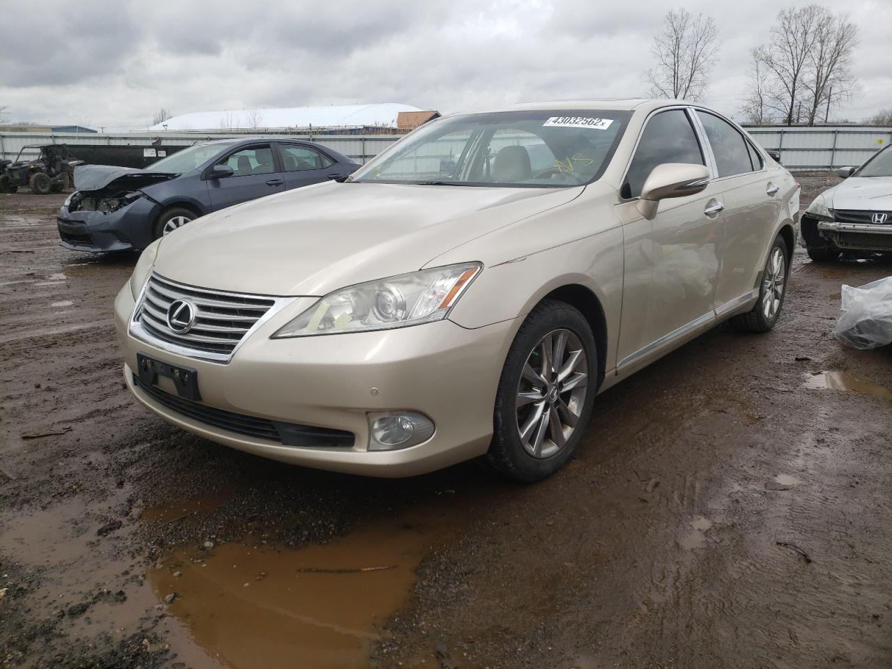 Photo 2 from auction – 2010 LEXUS ES 350 with VIN JTHBK1EG2A2387217