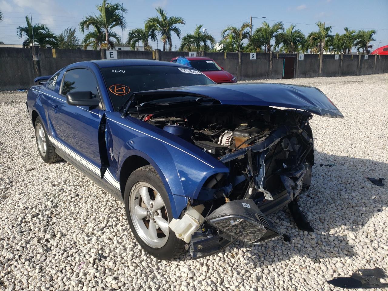 FORD MUSTANG 2006 with VIN 1ZVHT80N665191601 - Photo from auction
