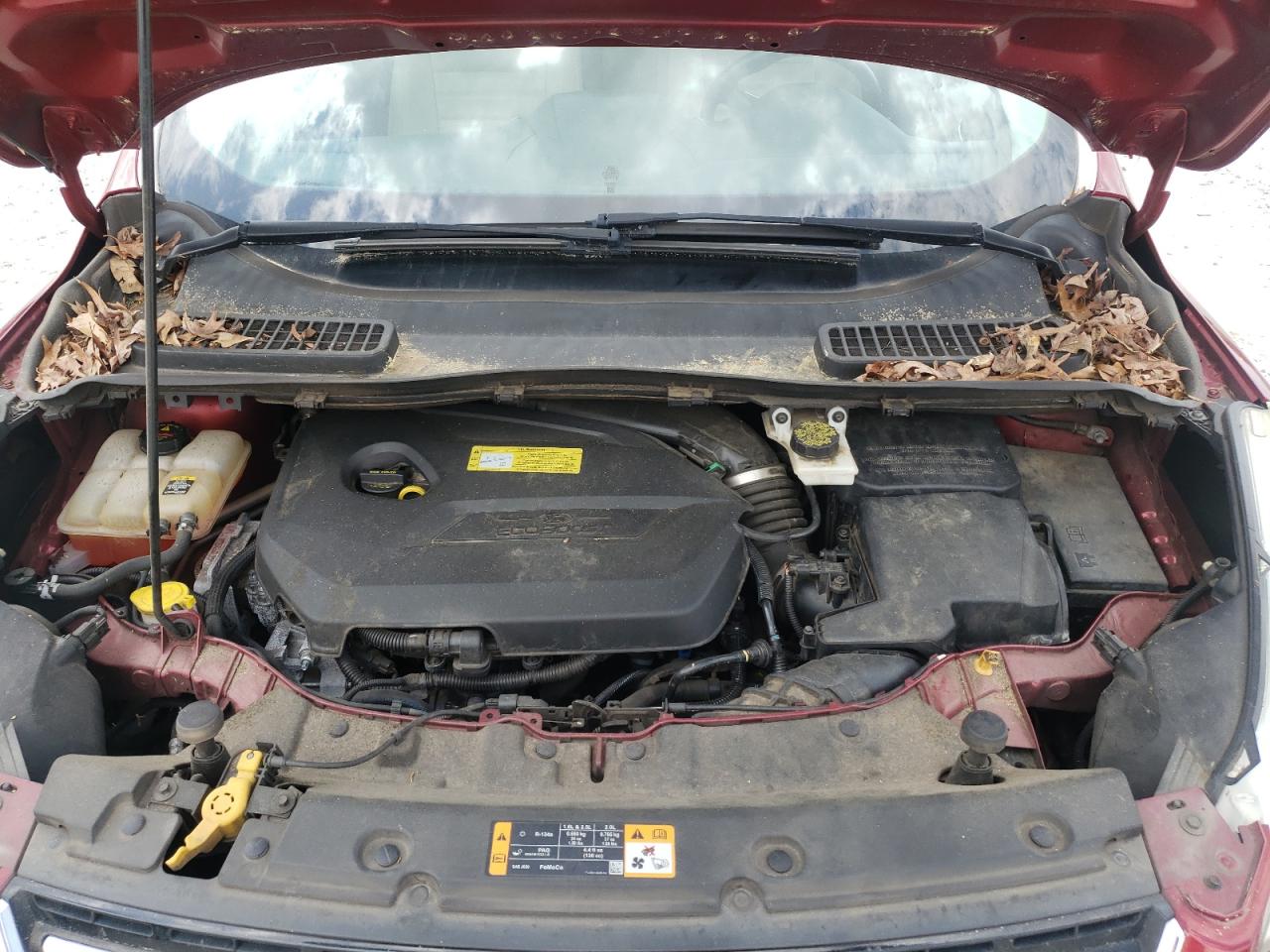 Photo 7 from auction – 2013 FORD ESCAPE SEL with VIN 1FMCU0HXXDUB77376