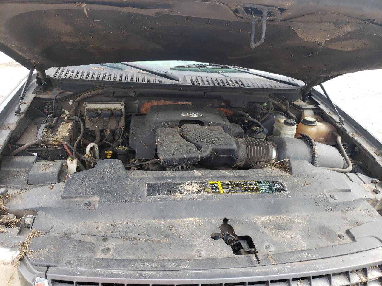 Photo 7 from auction – 2004 FORD EXPEDITION with VIN 1FMPU16L64LA46202