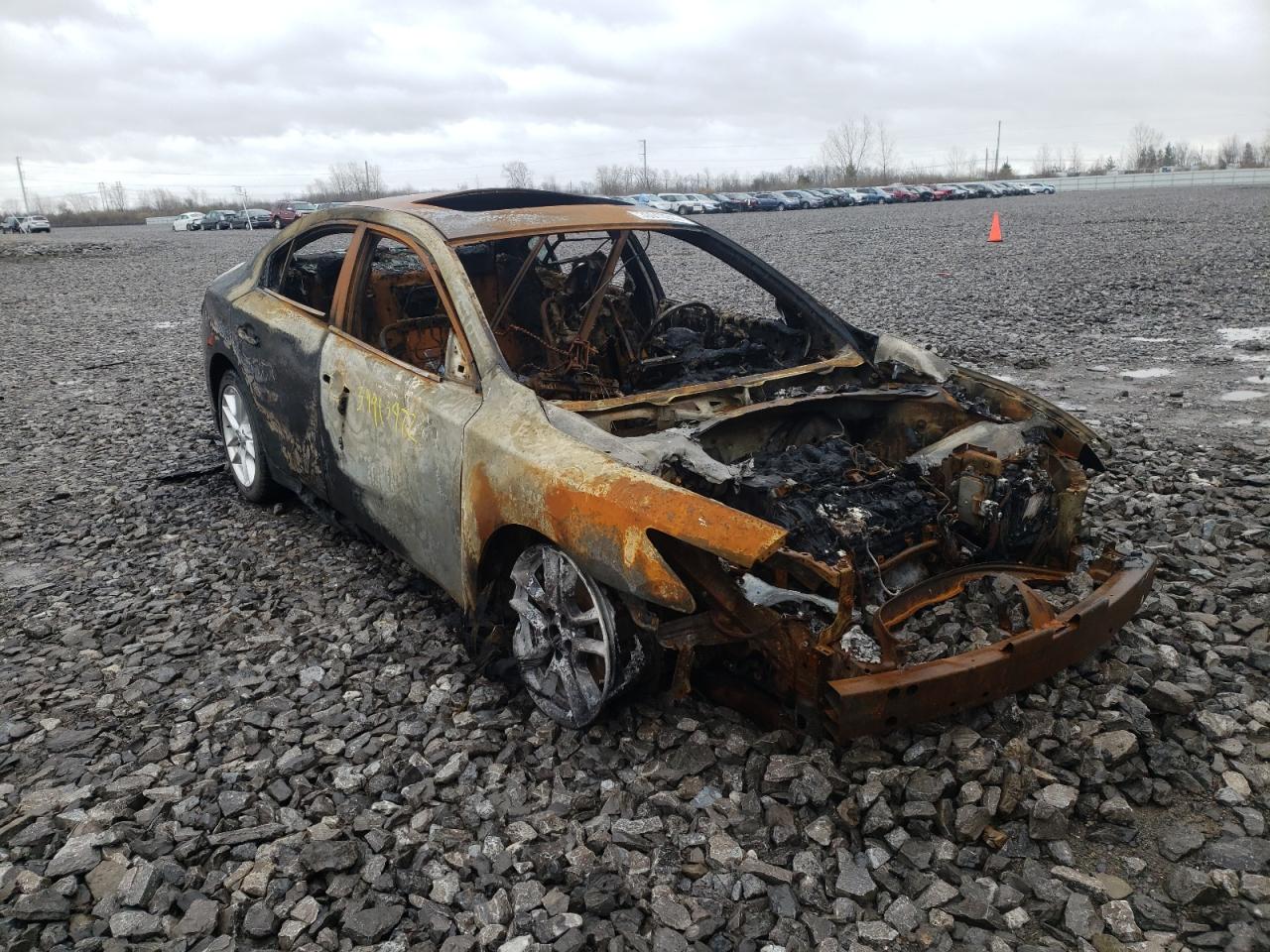 NISSAN MAXIMA S 2009 with VIN 1N4AA51E19C861956 - Photo from auction