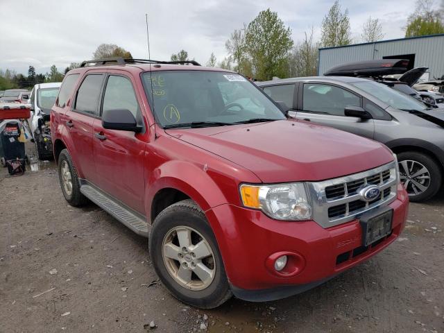 FORD ESCAPE XLT 2010 with VIN 1FMCU0D75AKC58637 - Photo from auction