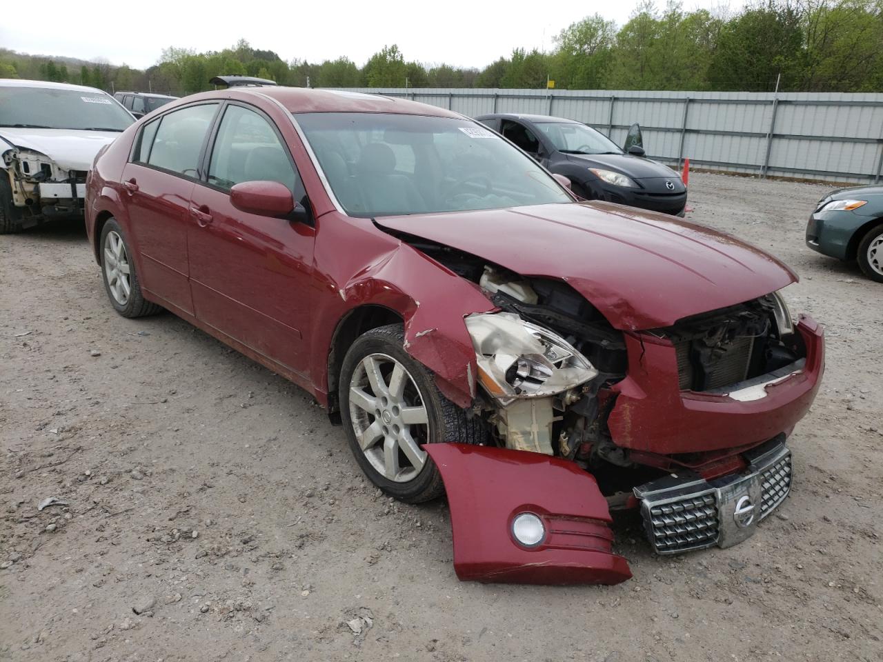 NISSAN MAXIMA SE 2006 with VIN 1N4BA41E46C804855 - Photo from auction