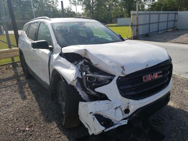 GMC TERRAIN SL 2021 with VIN 3GKALPEV2ML370176 - Photo from auction