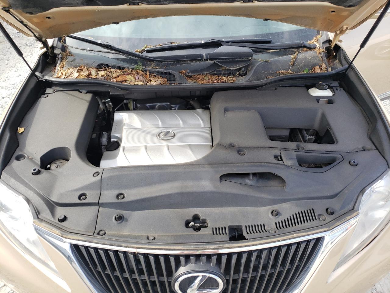 Photo 7 from auction – 2010 LEXUS RX 350 with VIN 2T2ZK1BA6AC004747
