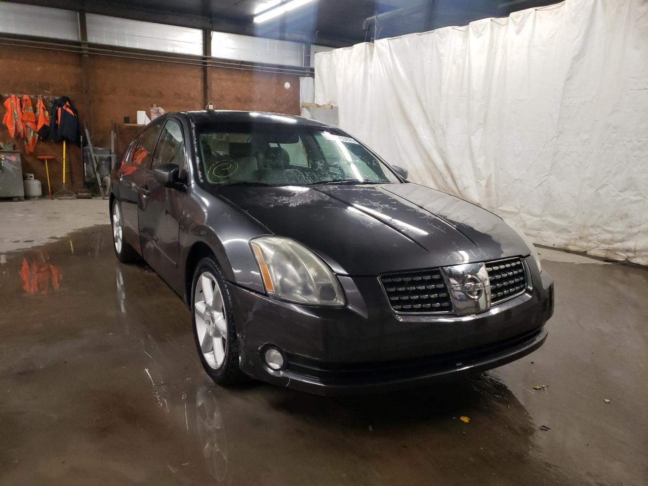 NISSAN MAXIMA SE 2006 with VIN 1N4BA41E56C814603 - Photo from auction