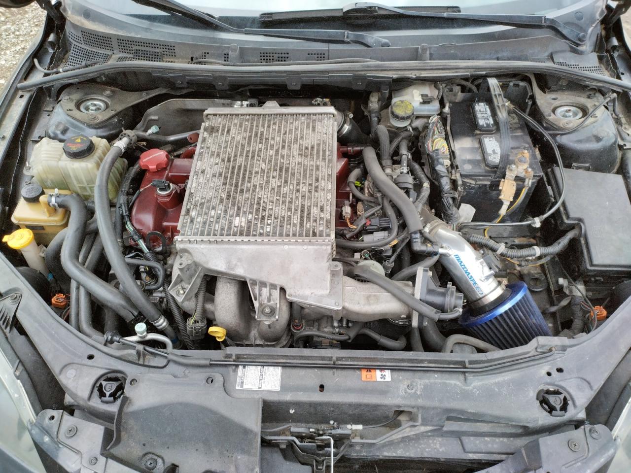 Photo 7 from auction – 2008 MAZDA SPEED 3 with VIN JM1BK34M381179352