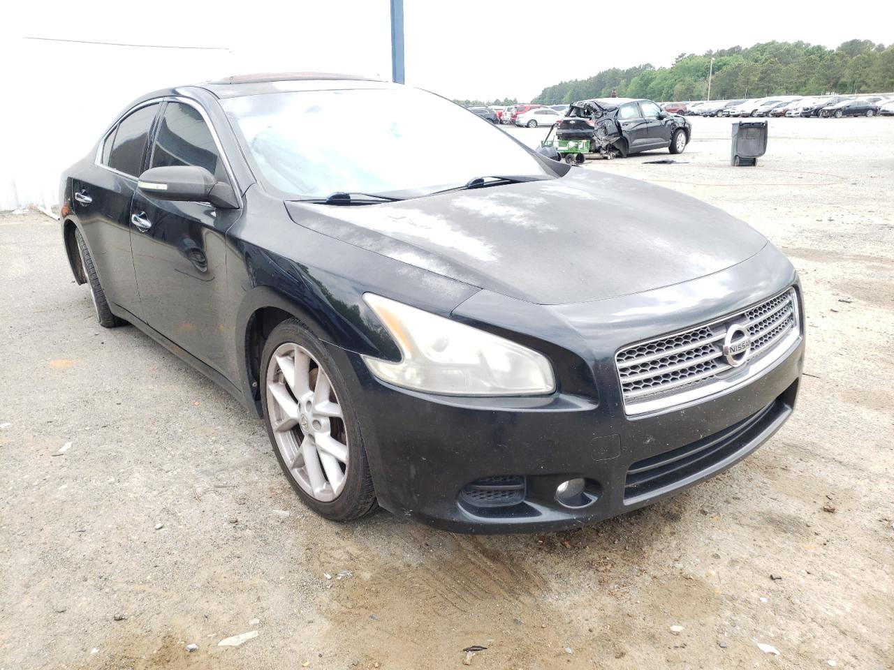 NISSAN MAXIMA 2009 with VIN 1N4AA51E59C808824 - Photo from auction