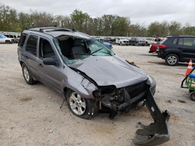 FORD ESCAPE XLT 2007 with VIN 1FMYU03117KA75960 - Photo from auction