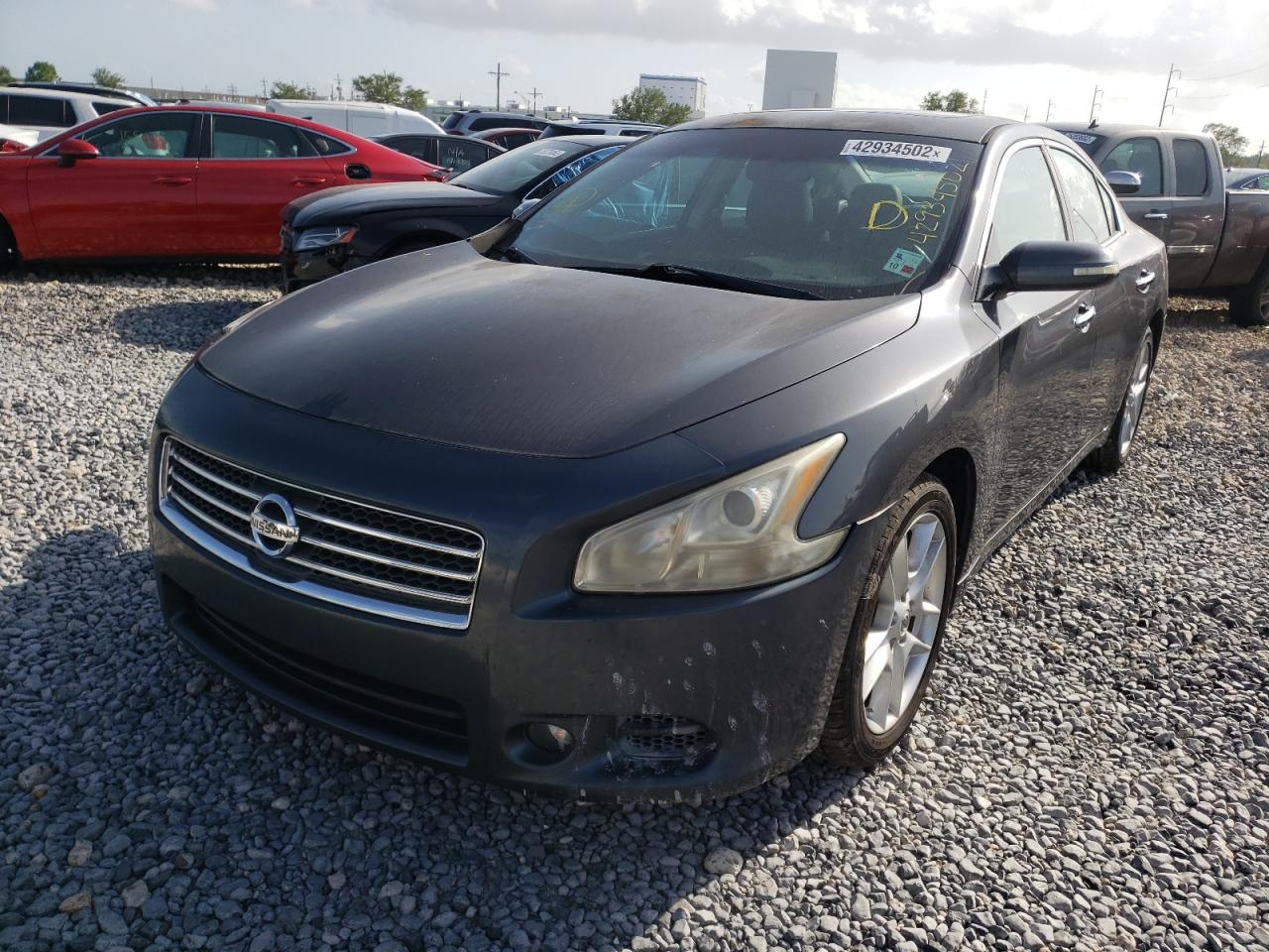 Photo 2 from auction – 2010 NISSAN MAXIMA S with VIN 1N4AA5AP7AC869422